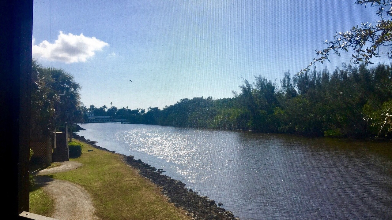 Photo of Outdoor in Everglades City