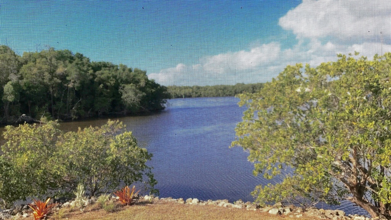 Photo of Outdoor in Everglades City