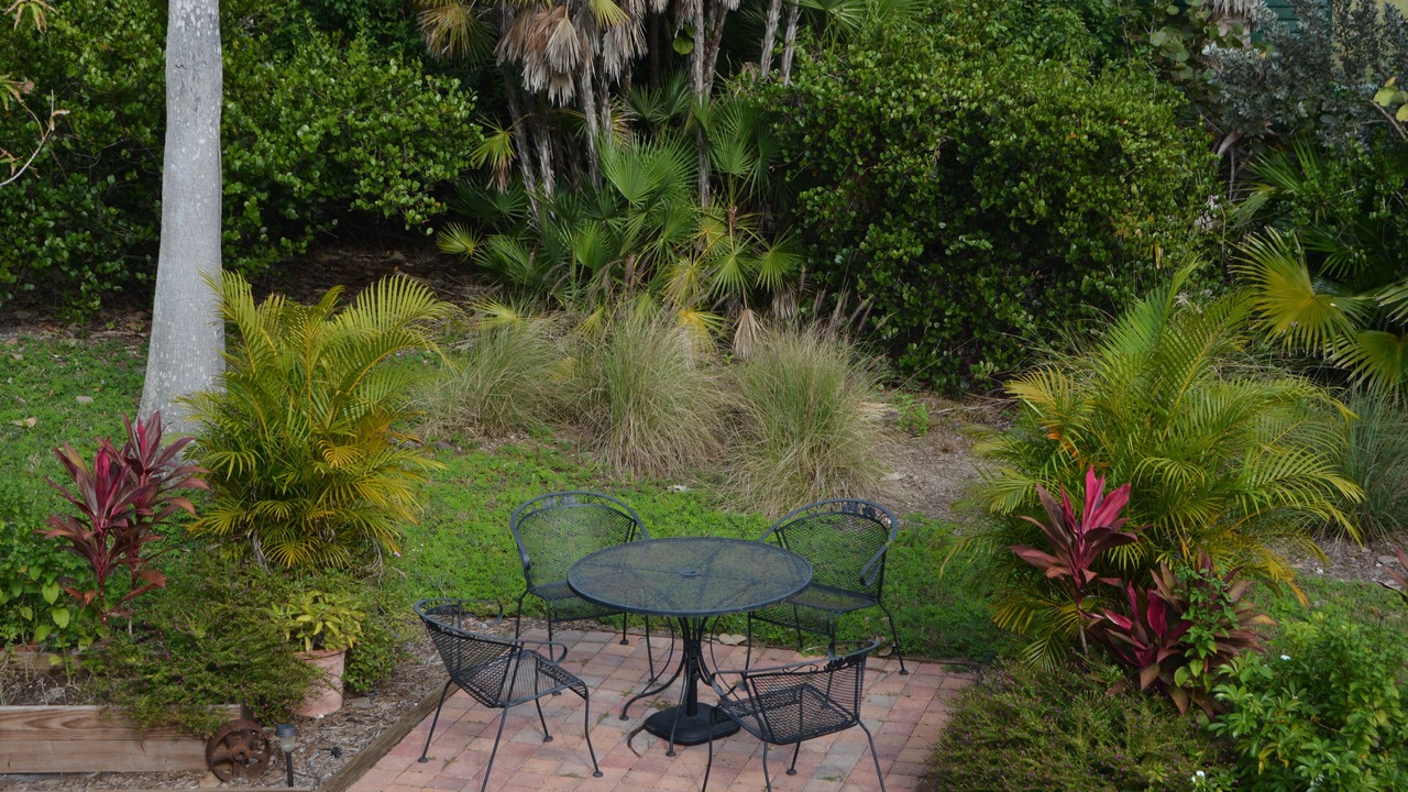 Photo of Outdoor in Everglades City