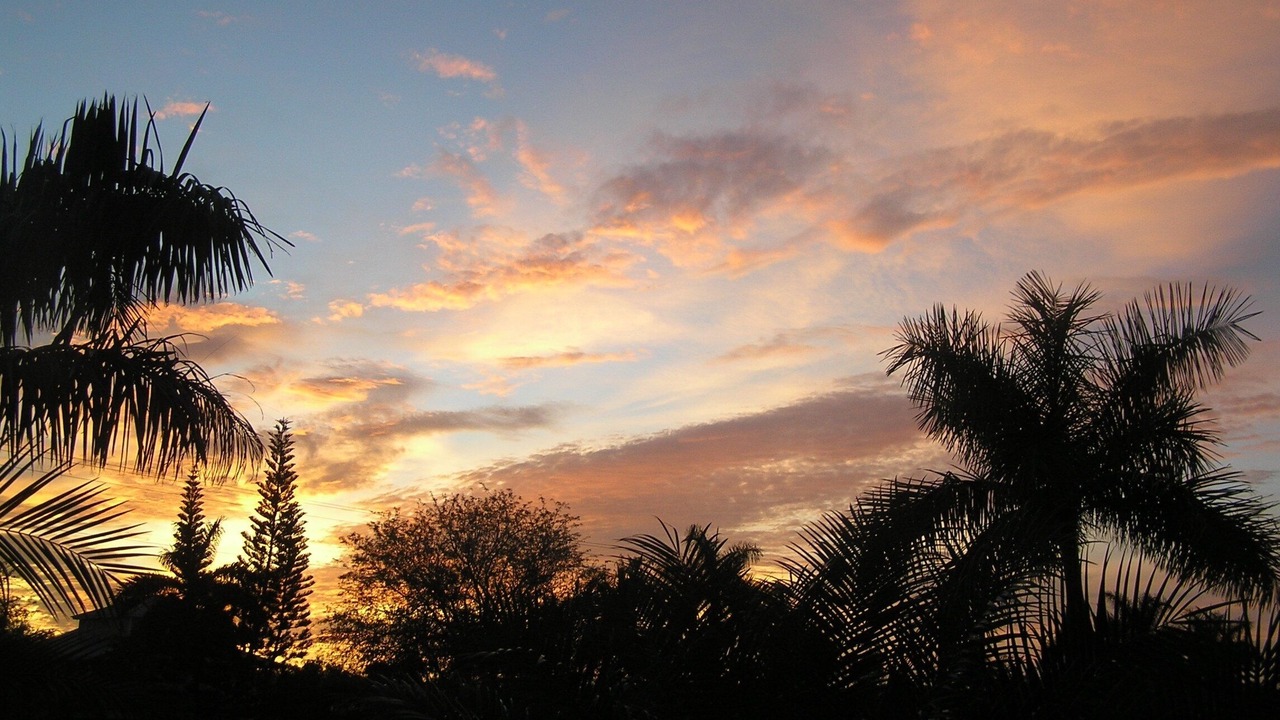 Photo of Outdoor in Everglades City