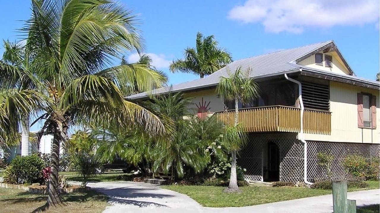 Photo of Outdoor in Everglades City