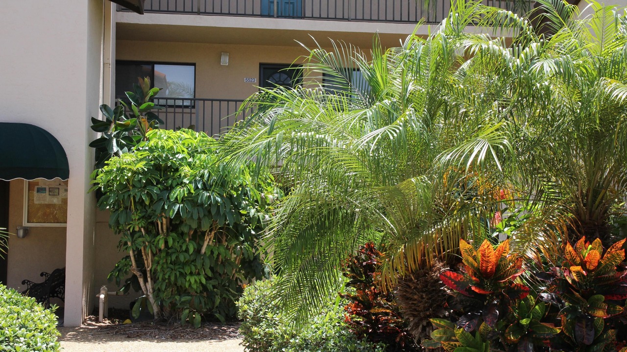 Photo of Others in Gulf Gate Estates