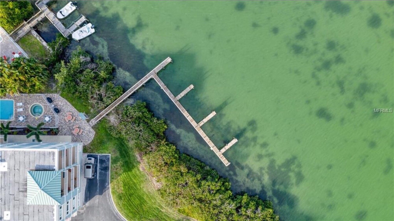 Photo of Outdoor in Live Oak Landings