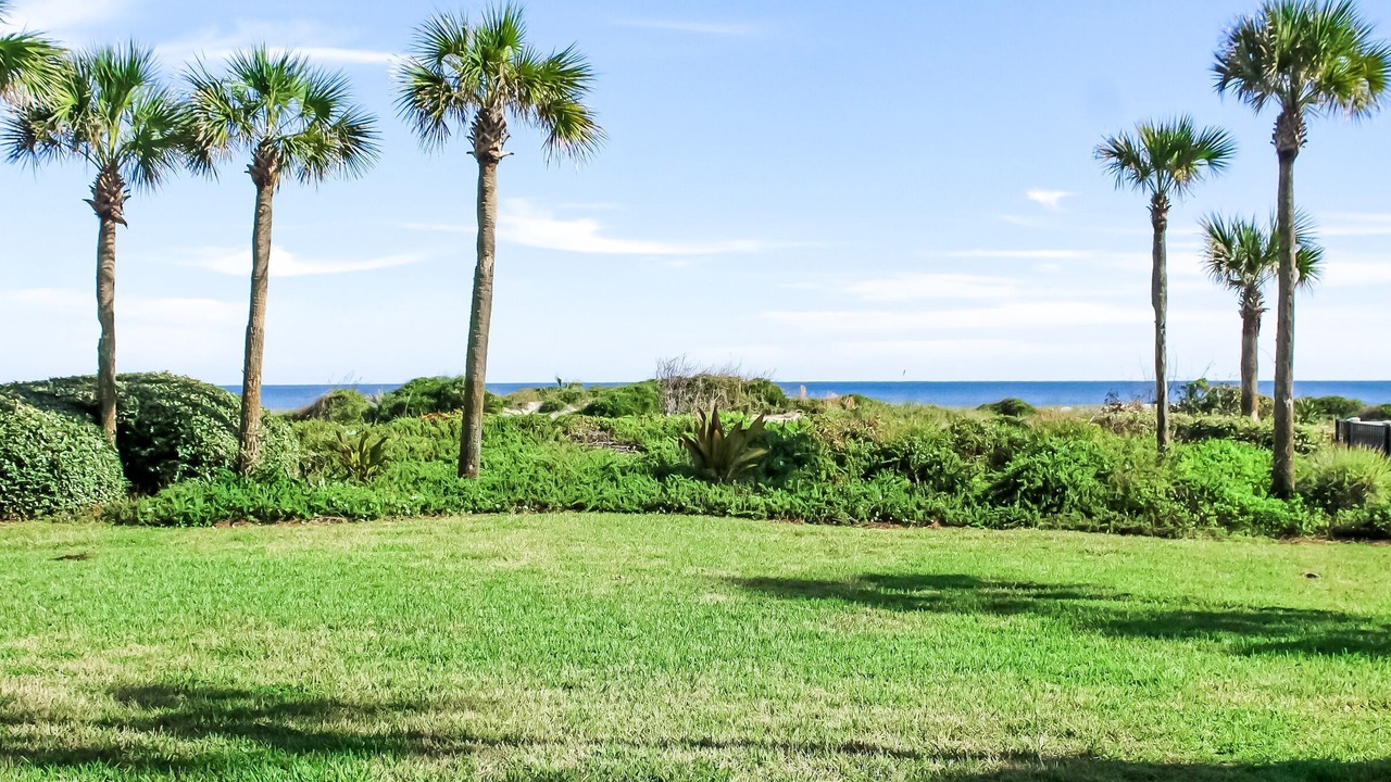 Photo of Others in Amelia City