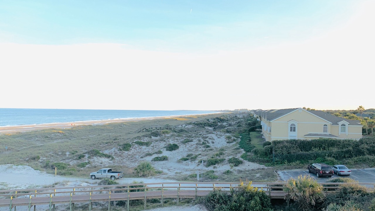 Photo of Others in Amelia City