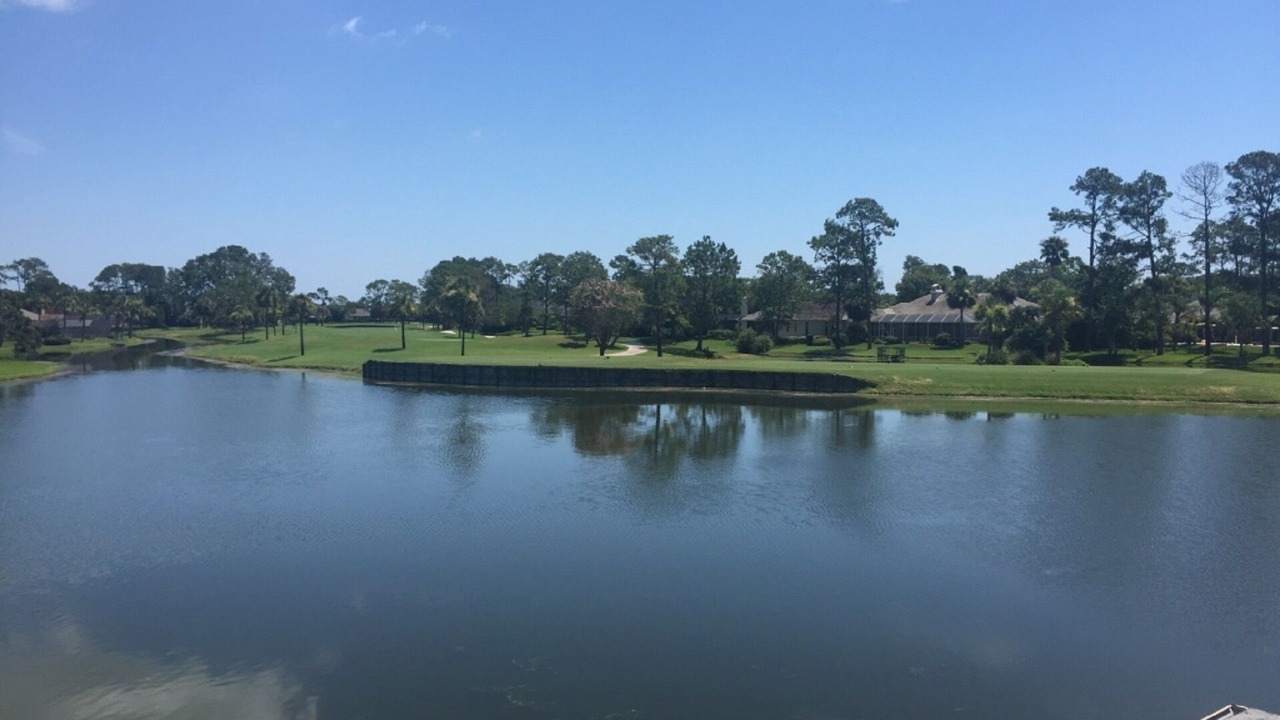 Photo of Others in Sawgrass