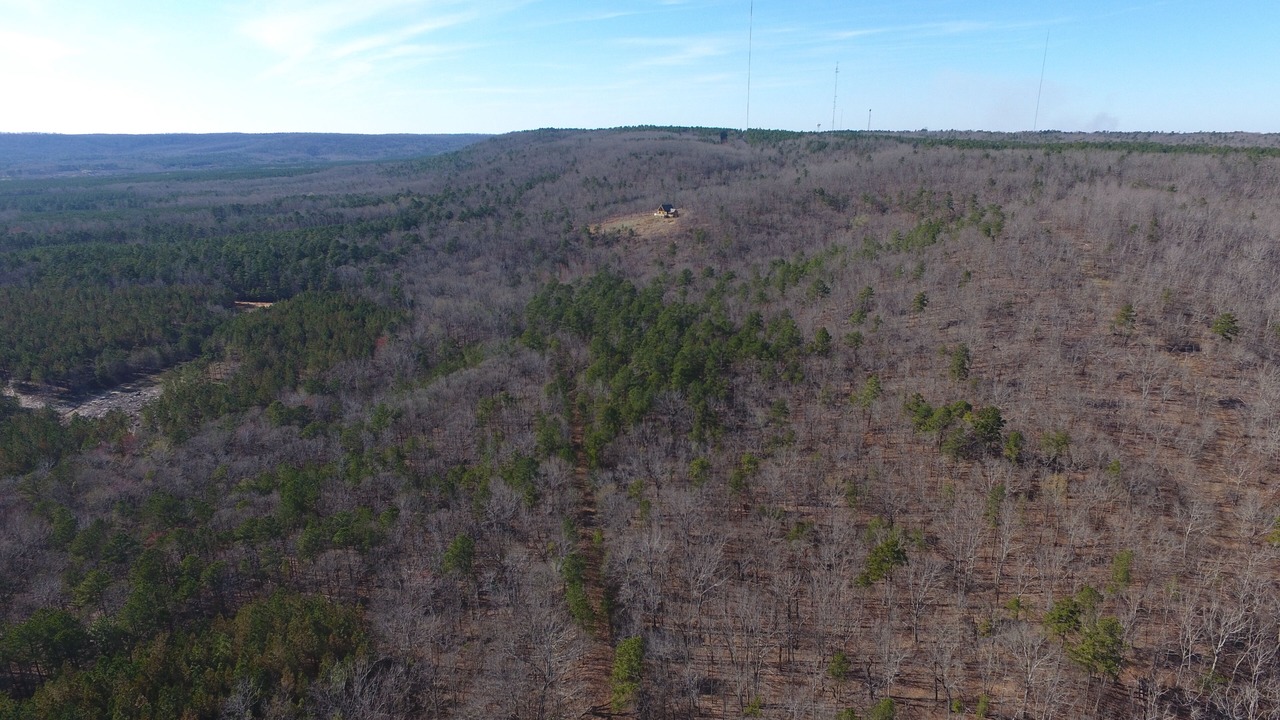 Photo of Others in Shiloh