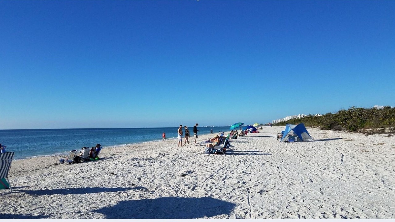 Photo of Others in Estero