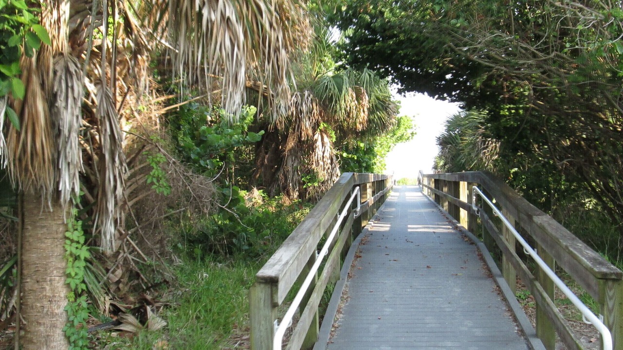 Photo of Others in Sanibel