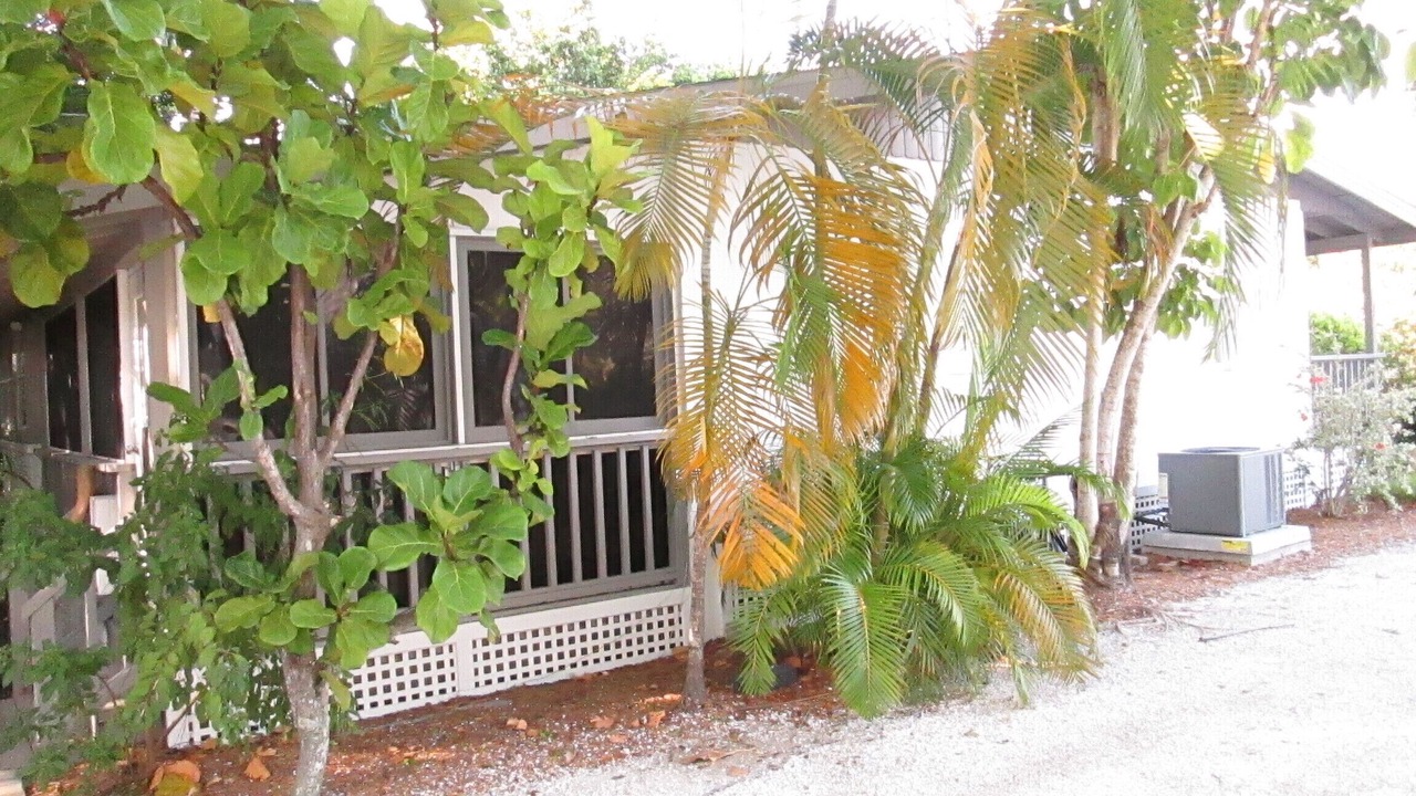 Photo of Outdoor in Sanibel