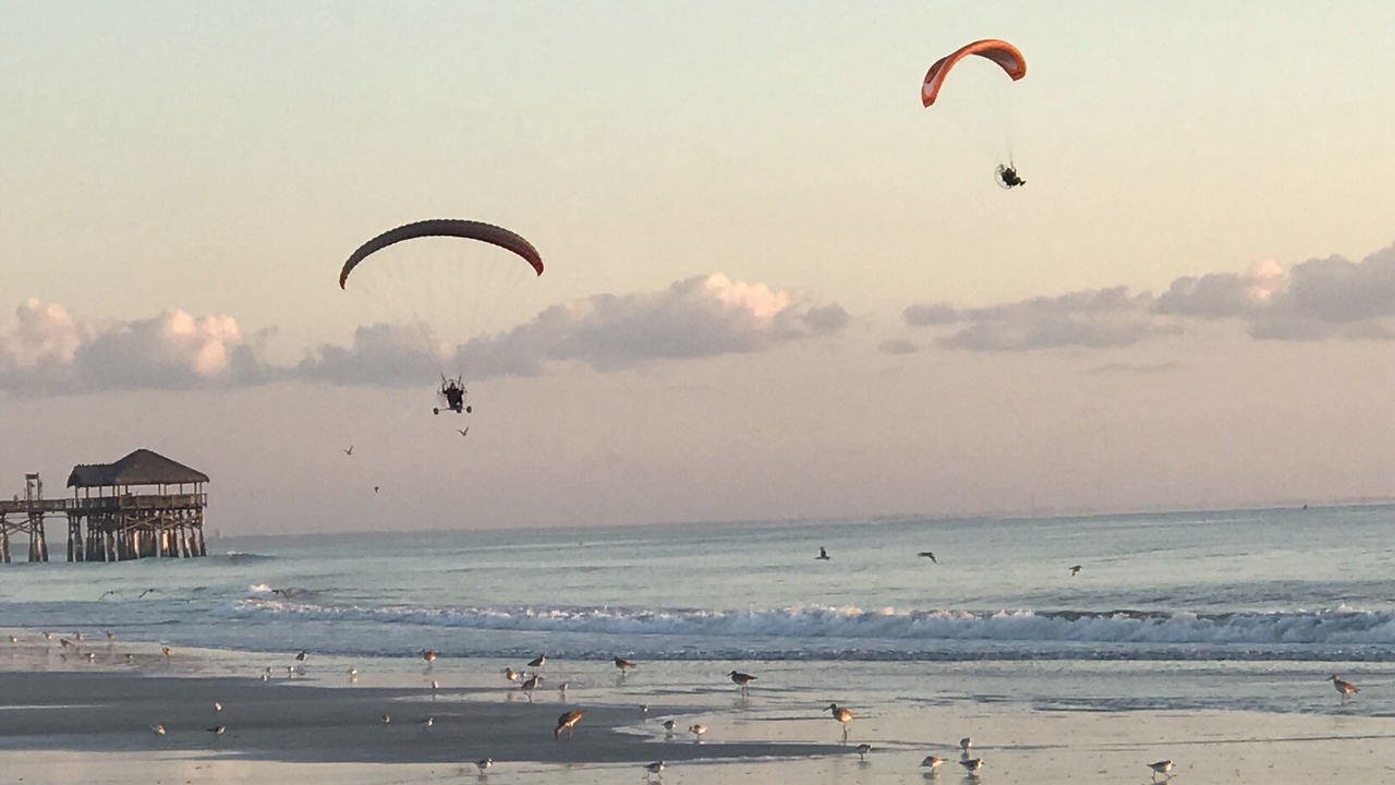 Photo of Others in Avon By The Sea