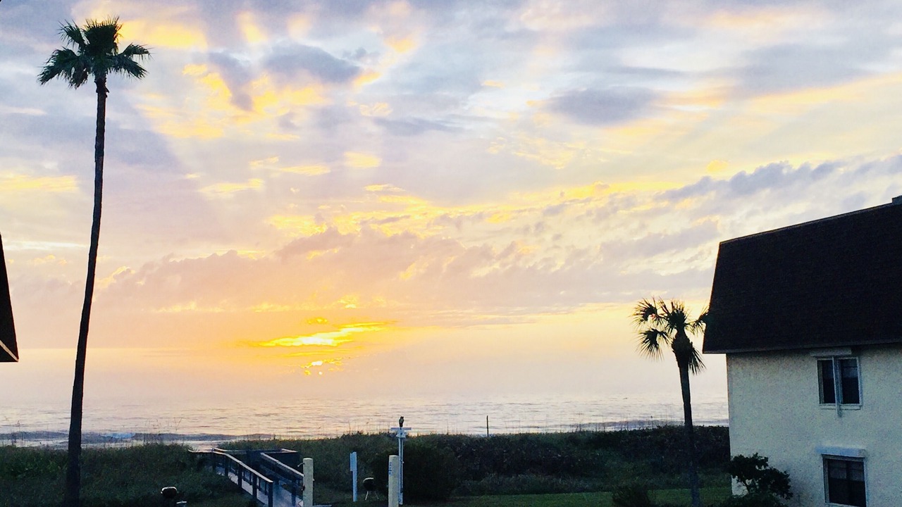 Photo of Others in Avon By The Sea