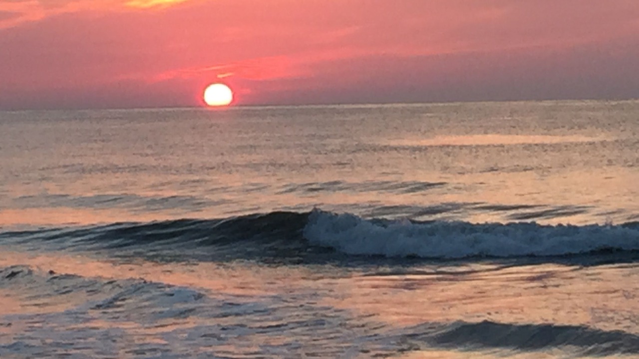 Photo of Others in Avon By The Sea