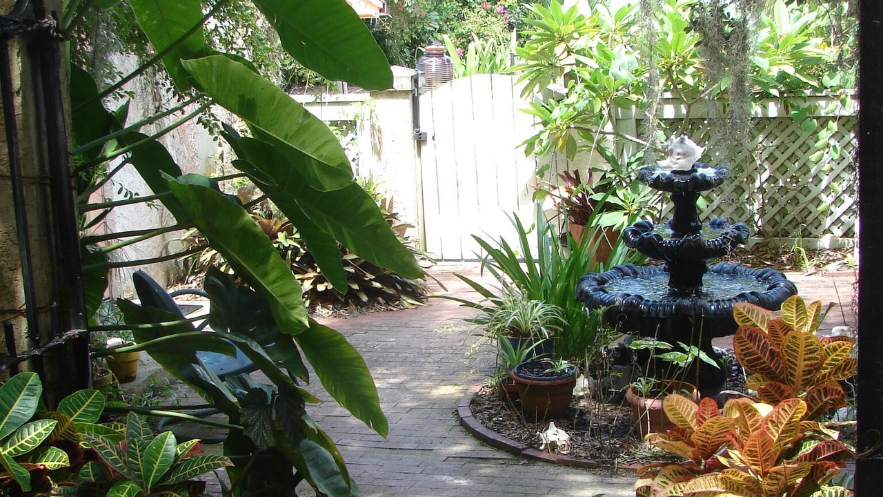 Photo of Outdoor in Sebastian
