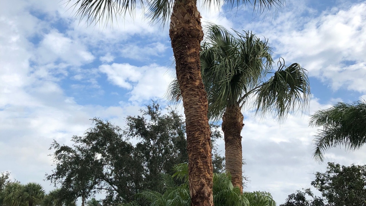Photo of Outdoor in Estero