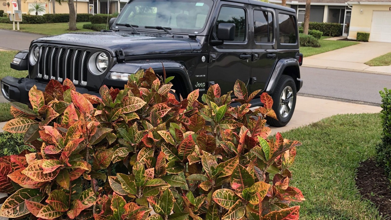 Photo of Outdoor in Estero