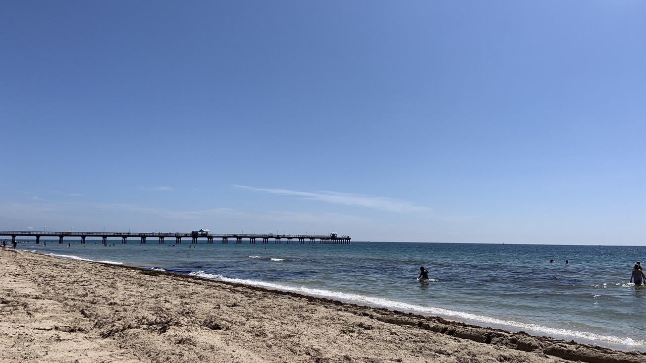 Photo of Others in East Fort Lauderdale