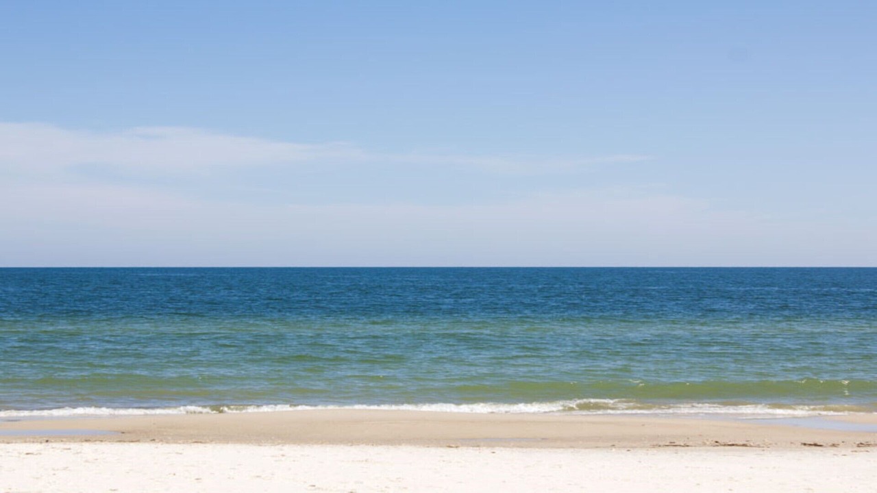 Photo of Others in St. George Island