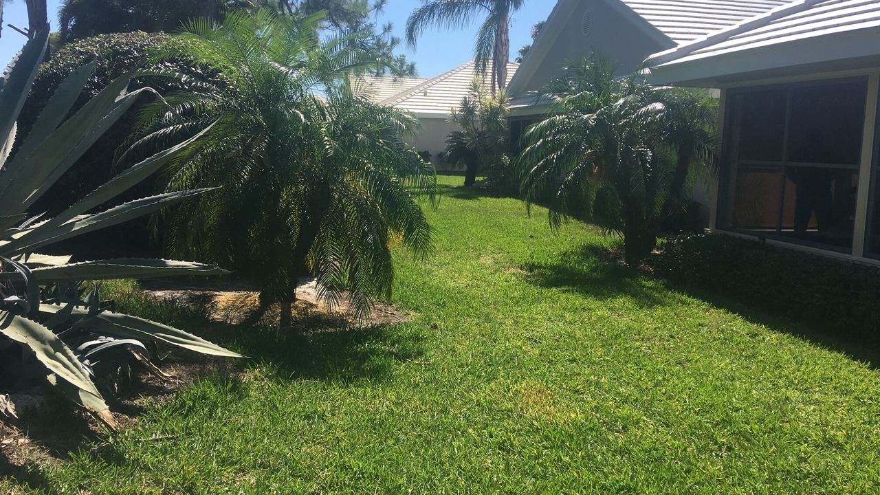 Photo of Others in Plantation