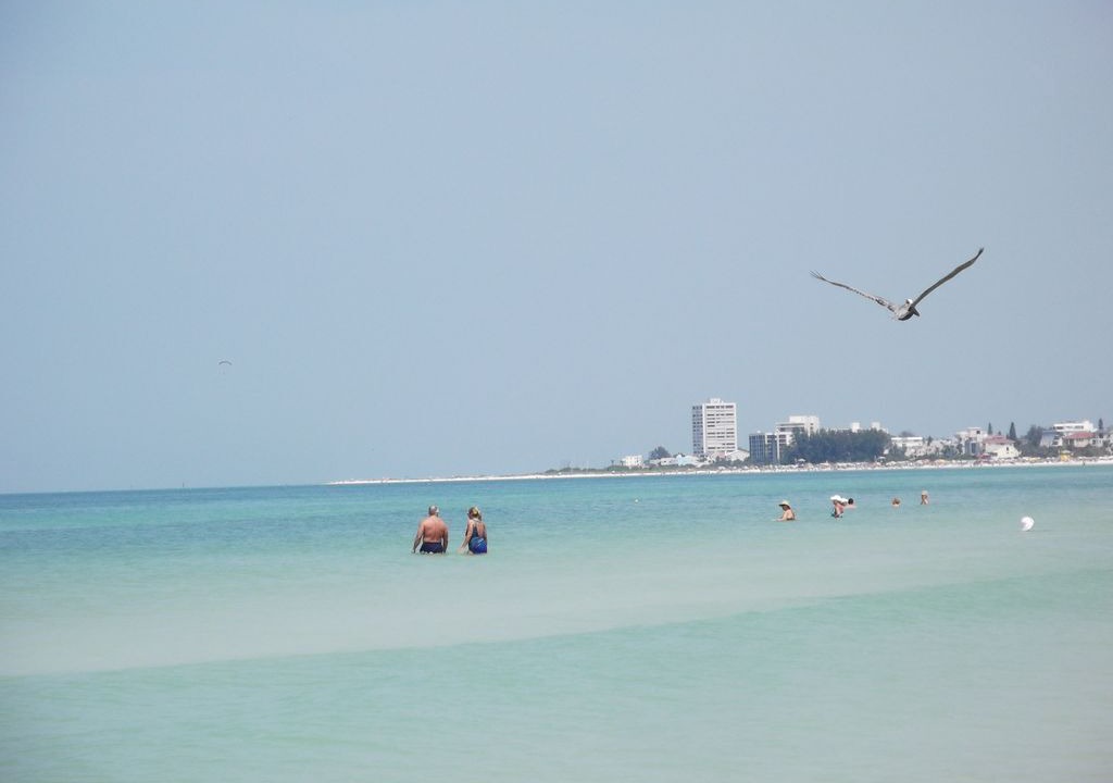 Photo of Others in Gulf Gate Estates