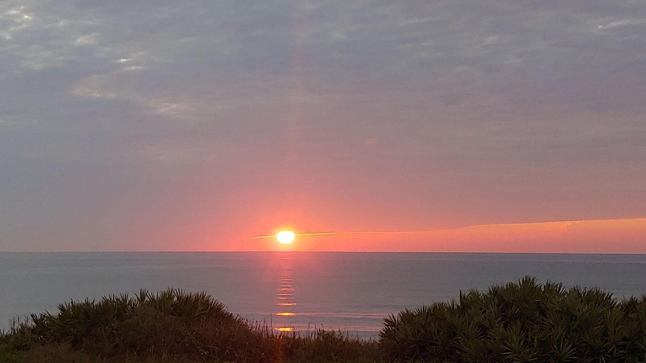 Photo of Others in Flagler Beach