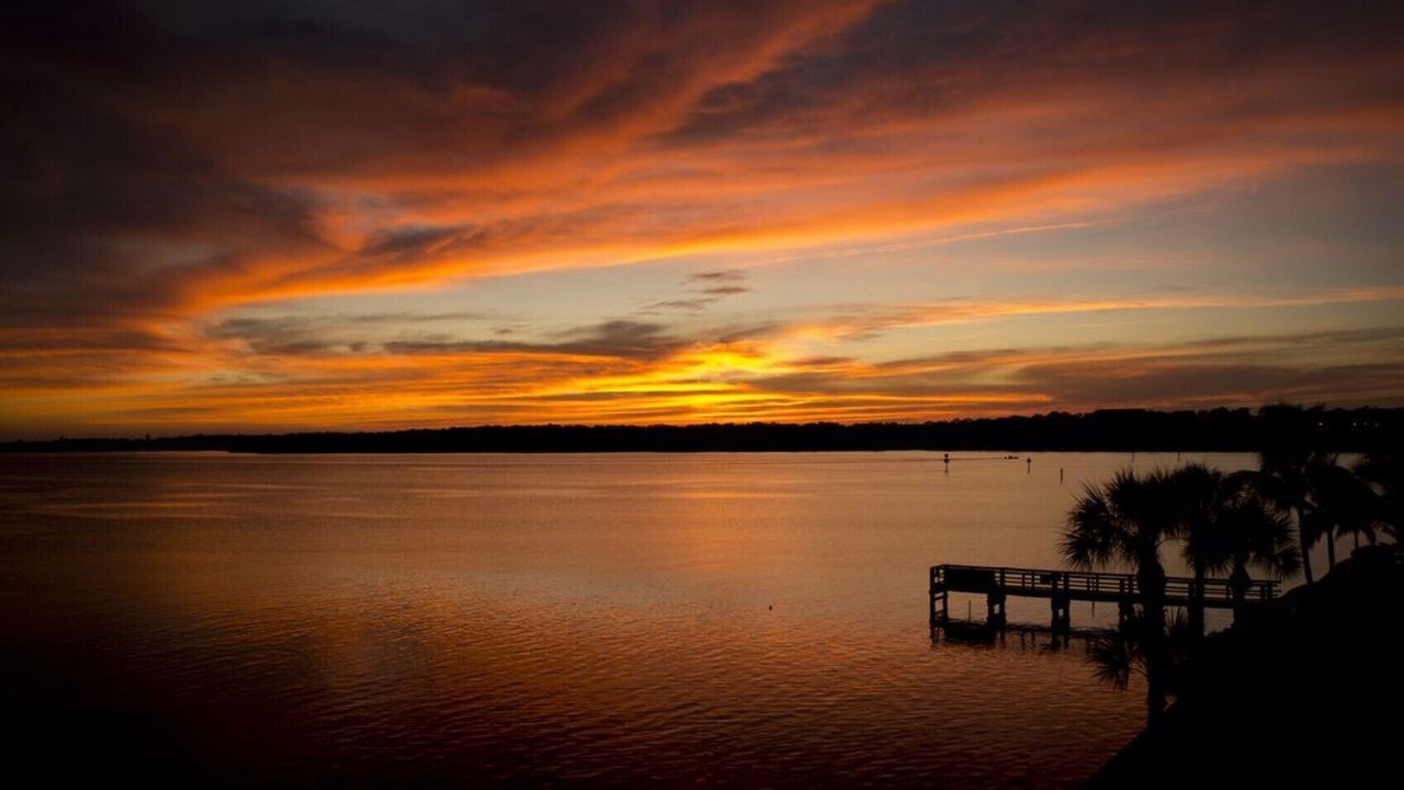 Photo of Others in St. Petersburg - Clearwater
