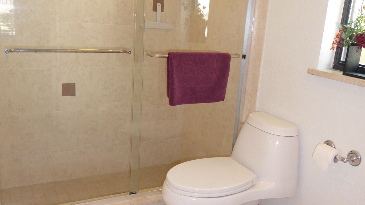 Photo of Bathroom in Spring Hill