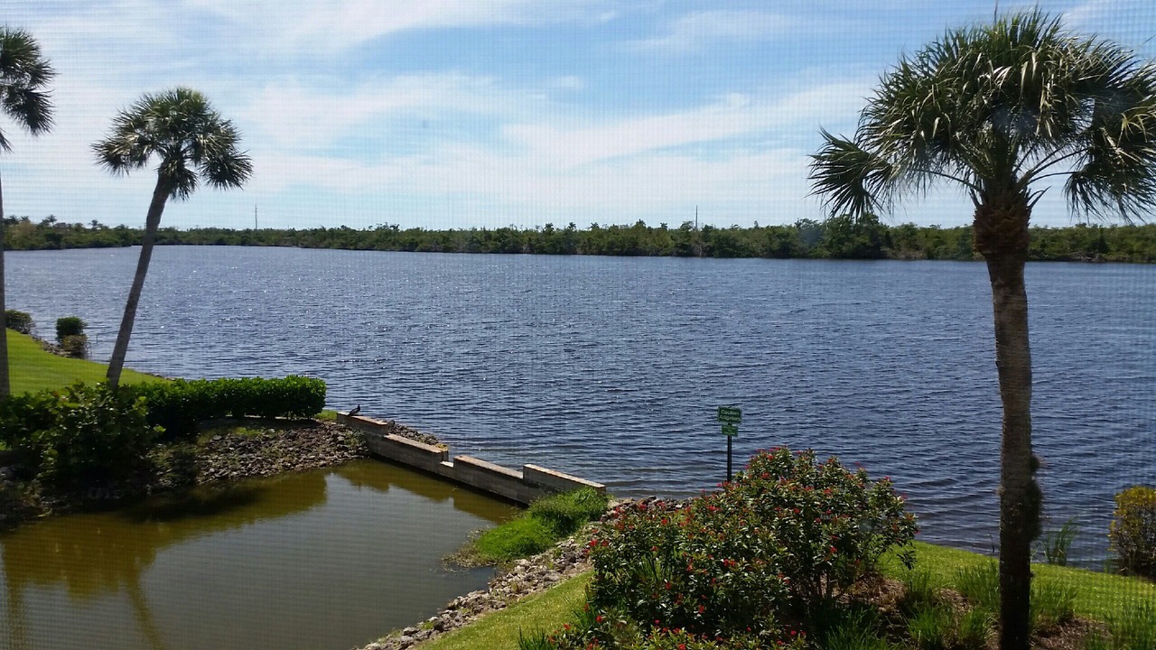 Photo of Others in Hammock Bay