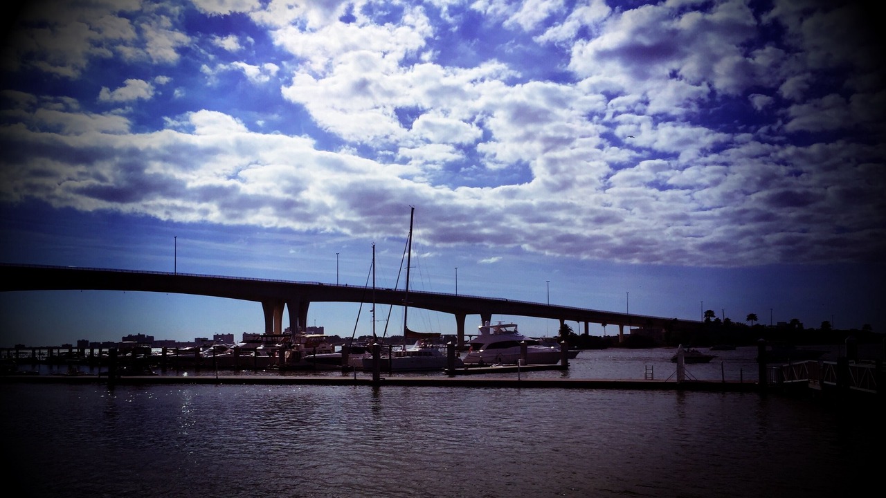Photo of Others in Safety Harbor