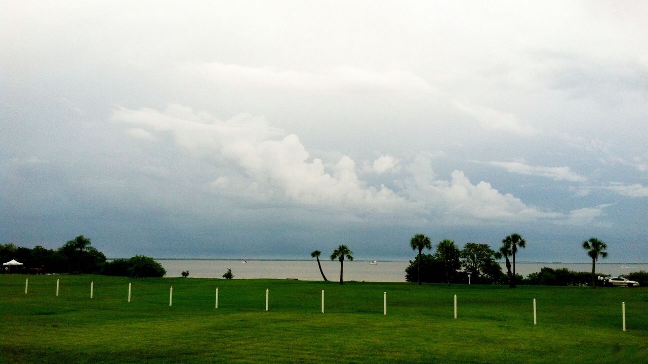 Photo of Others in Safety Harbor