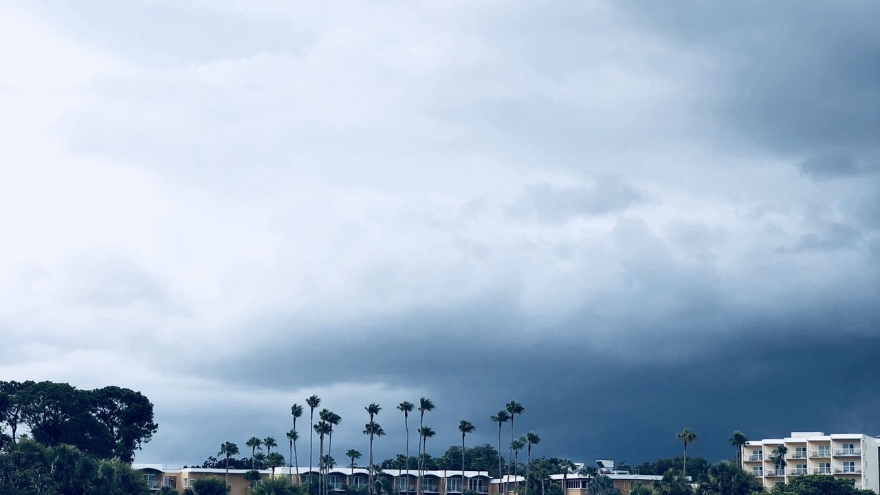Photo of Others in Safety Harbor