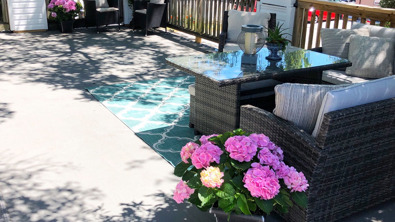 Photo of Outdoor in Safety Harbor