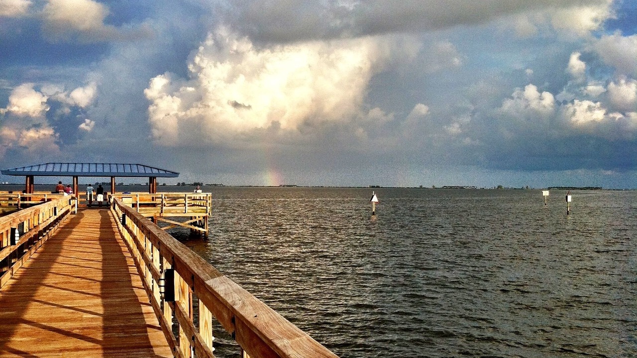 Photo of Others in Safety Harbor