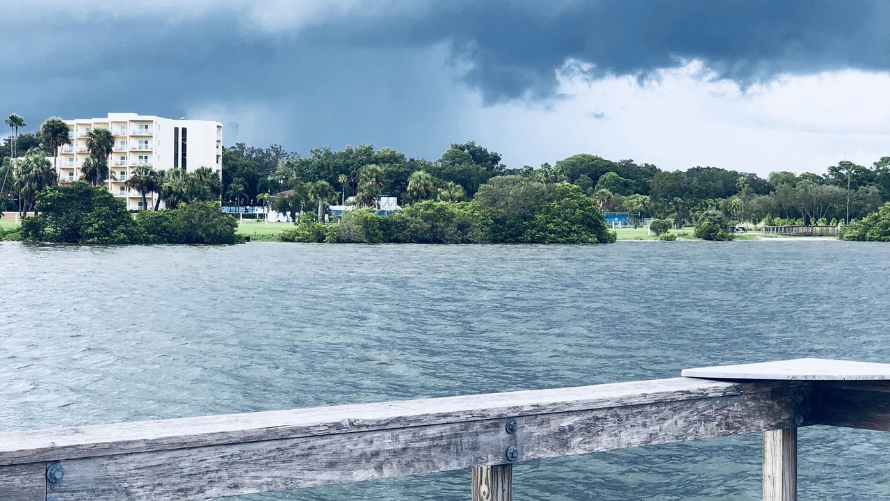 Photo of Others in Safety Harbor
