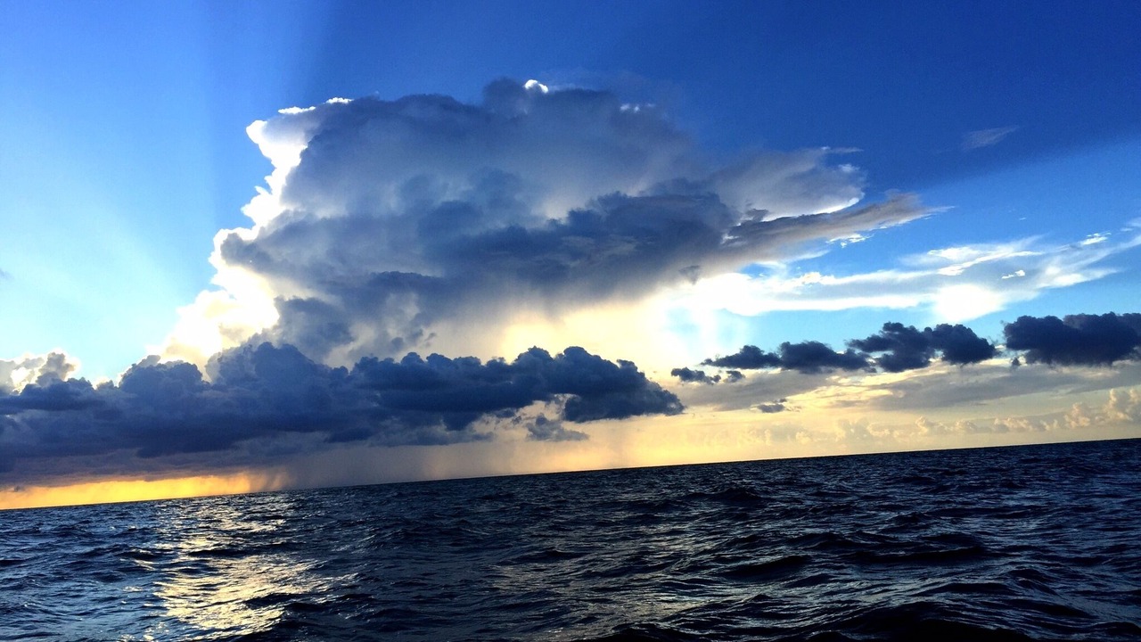 Photo of Others in Safety Harbor