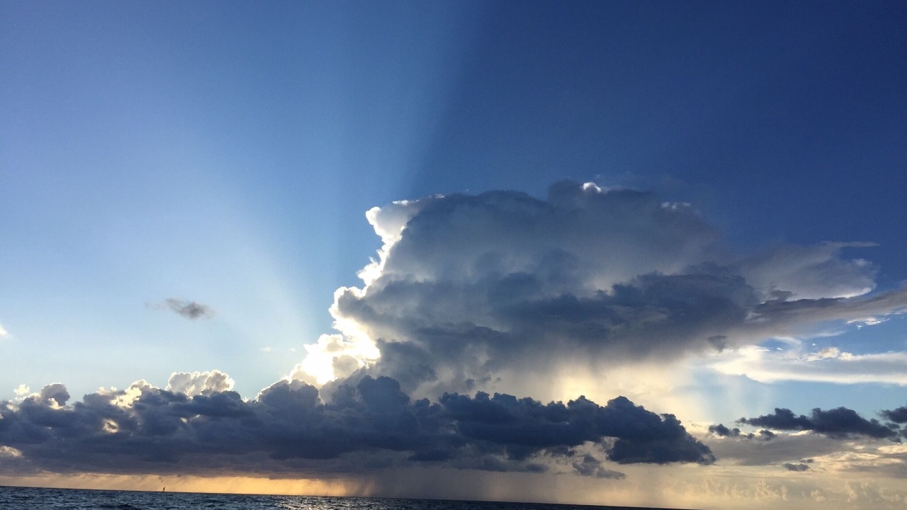 Photo of Others in Safety Harbor
