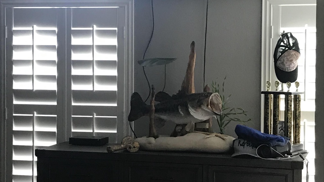 Photo of Bedroom in Tarpon Springs