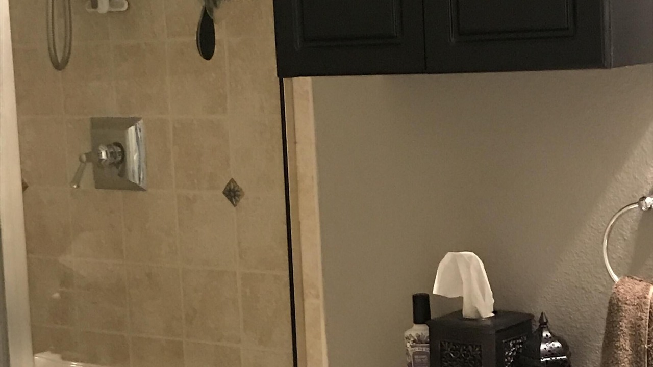 Photo of Bathroom in Tarpon Springs