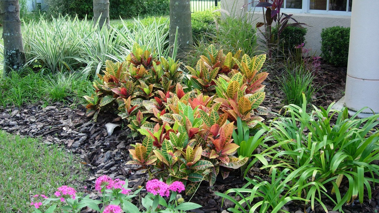 Photo of Outdoor in FishHawk Ranch