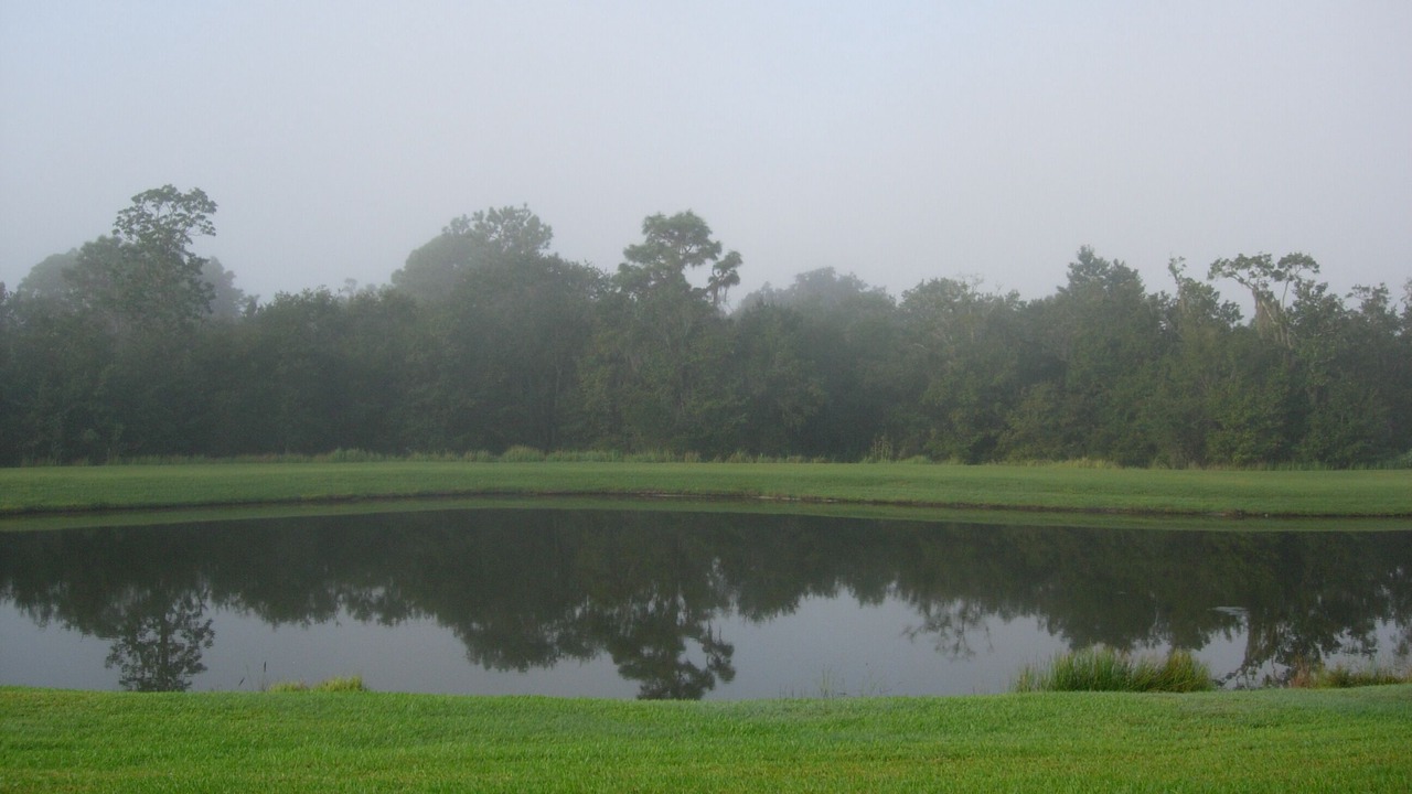 Photo of Others in FishHawk Ranch