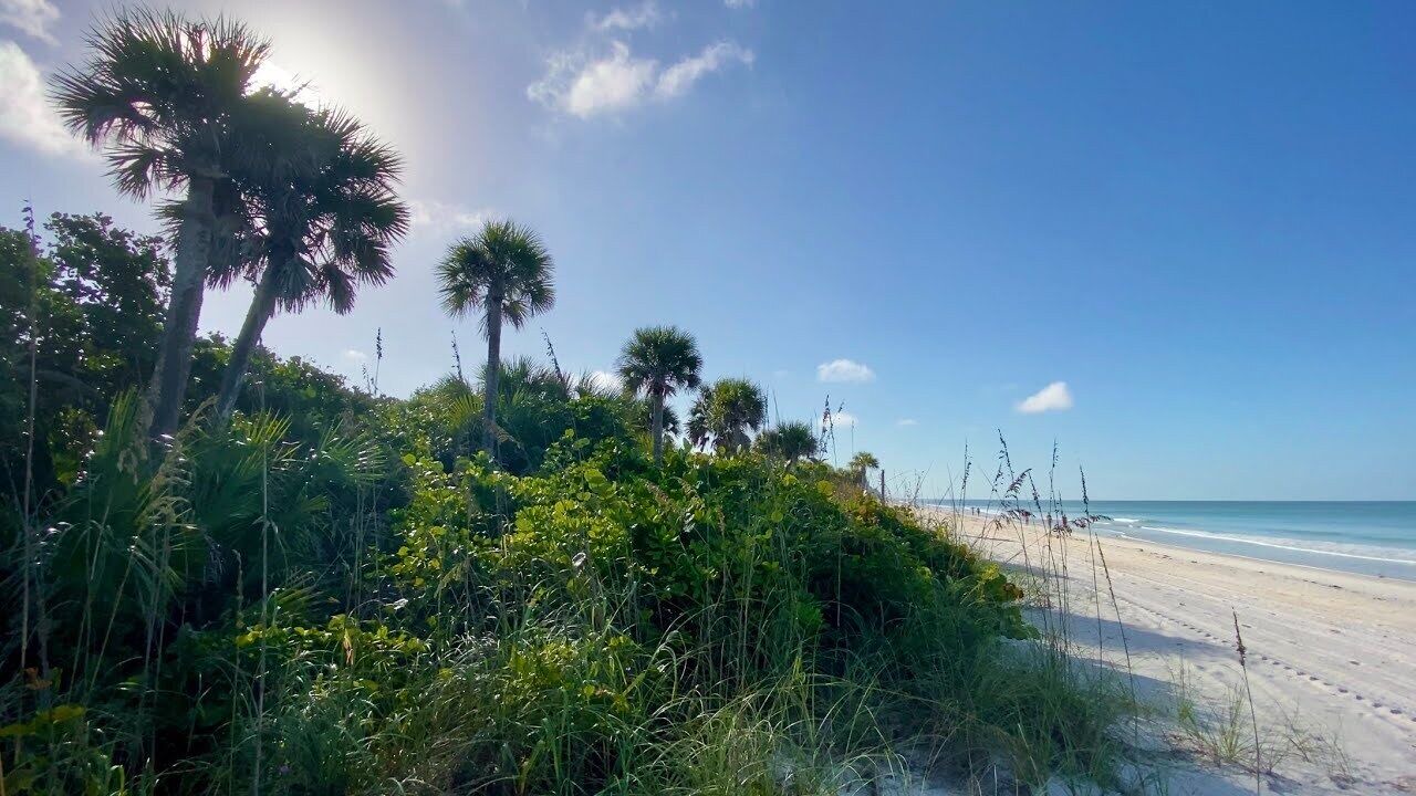 Photo of Others in Pelican Bay