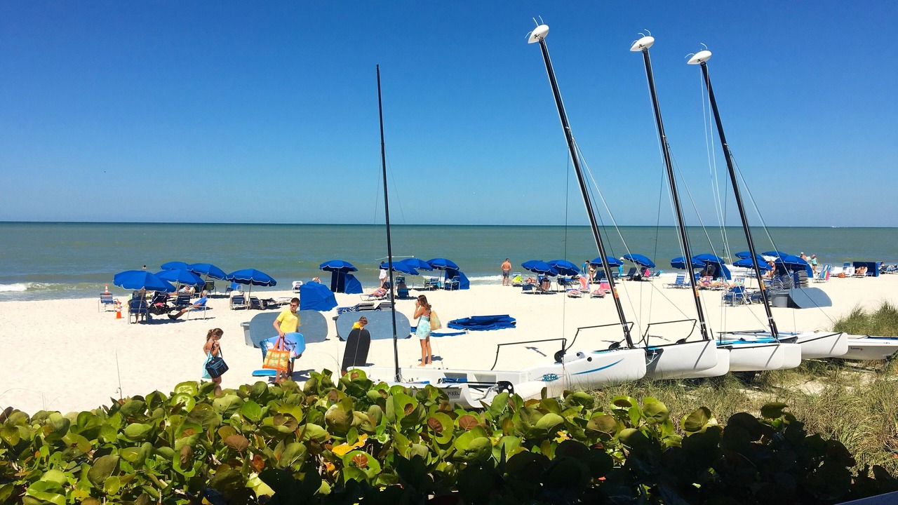 Photo of Others in Pelican Bay