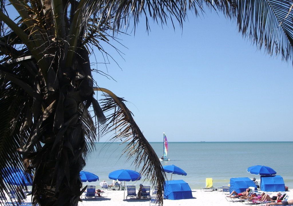 Photo of Others in Pelican Bay