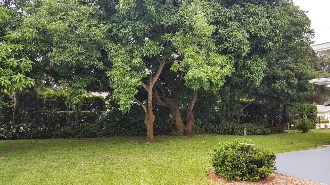 Photo of Others in South Sarasota