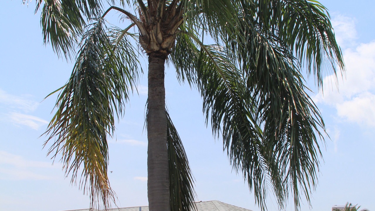 Photo of Outdoor in Coquina Key