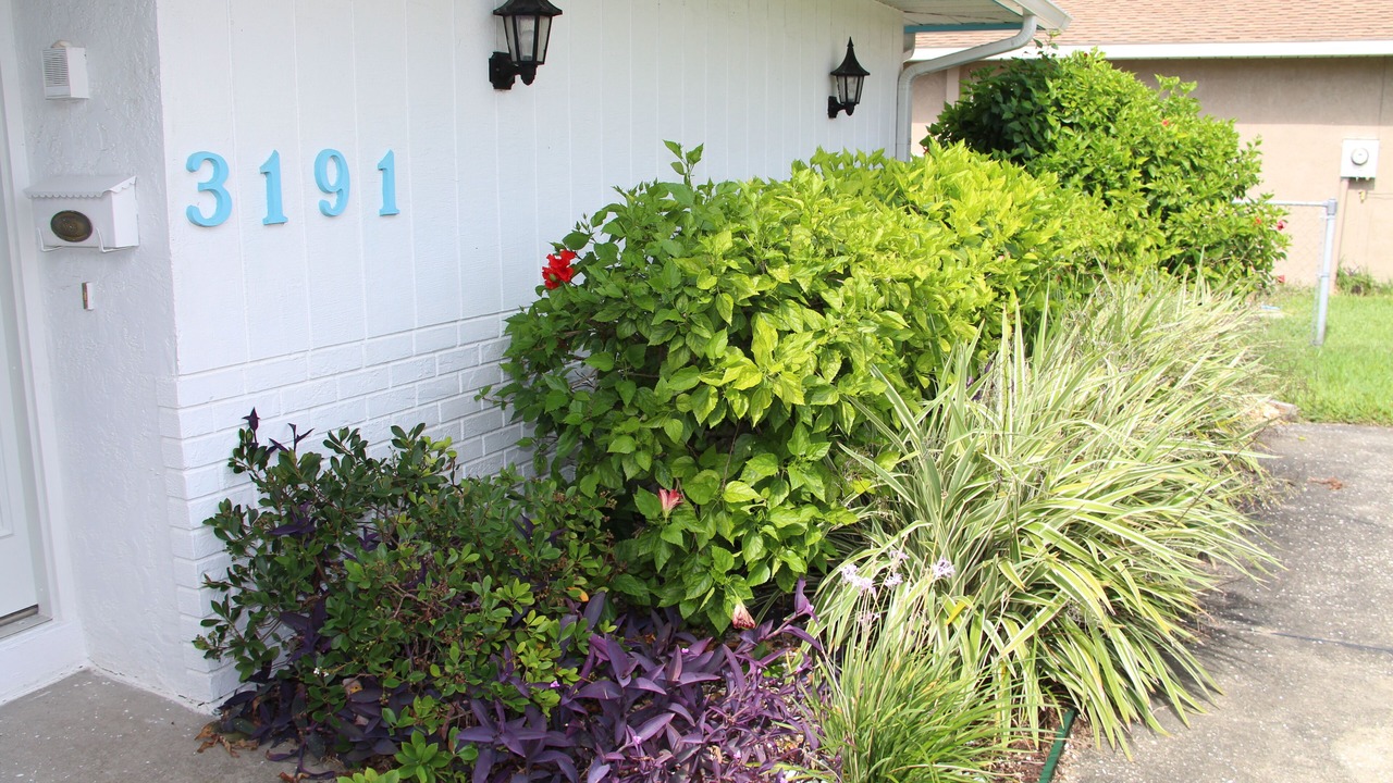 Photo of Outdoor in Coquina Key
