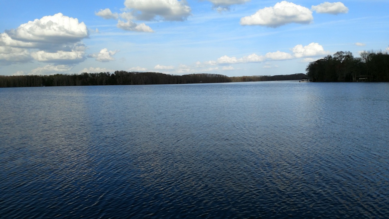Photo of Outdoor in Floral City