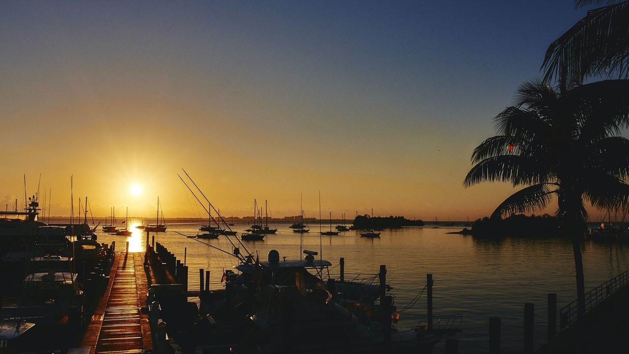 Photo of Others in Coconut Grove