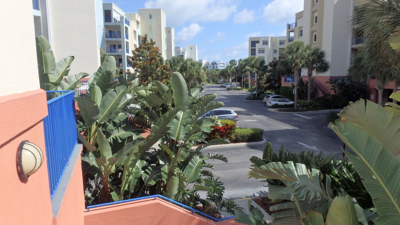 Photo of Others in New Smyrna Beach