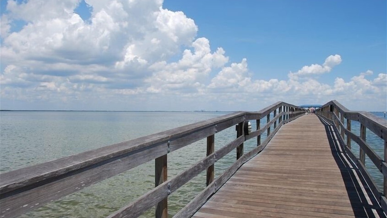 Photo of Others in Safety Harbor